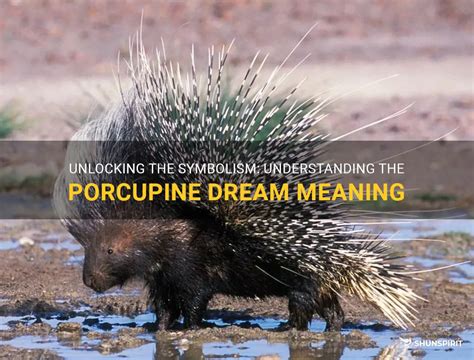 Reflecting on the Symbolic Representation of Porcupines in Dream Psychology