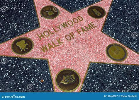 Reflections on the Legacy of Hollywood Star