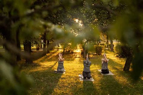 Rejuvenating Mind and Body in Tranquil Hot Springs