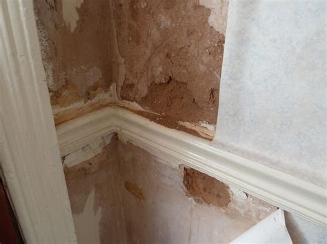 Repairing any Damaged Walls or Surfaces