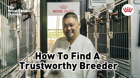 Researching Trustworthy Breeders