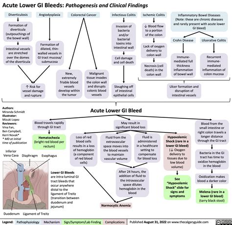 Revealing the Physiological Factors Behind Bleeding Dreams Involving the Lower Extremities