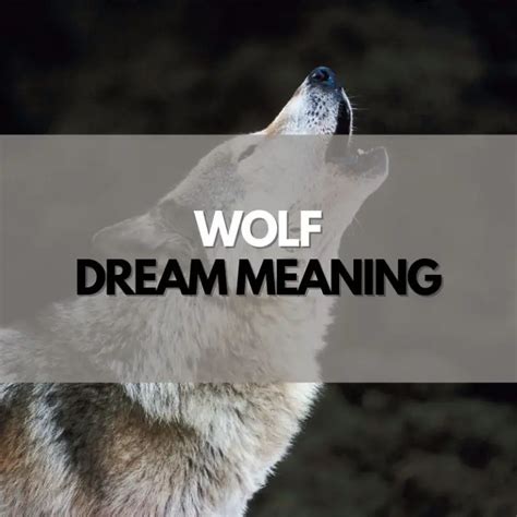 Revealing the Veiled Meanings in Wolf Dreams