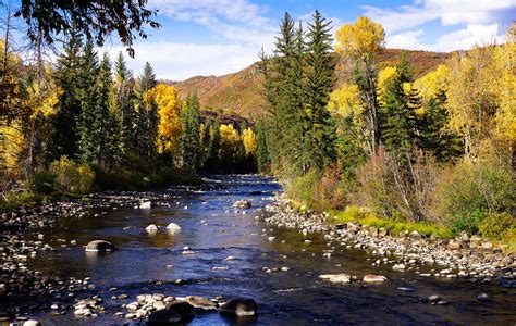 River Conservation: Preserving the Vulnerable Ecosystems