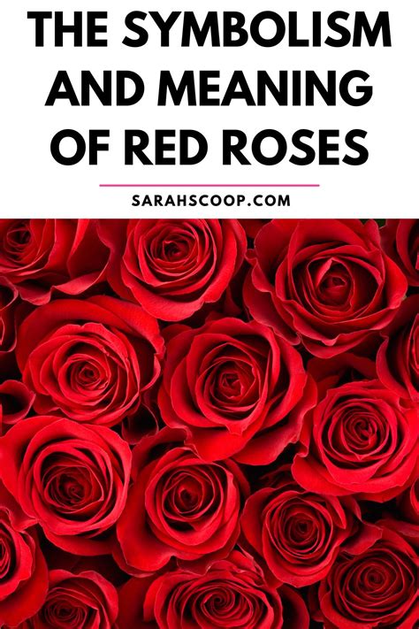 Romantic Symbolism of Red Roses