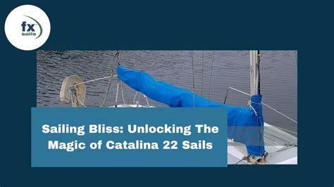 Sailing Bliss: Discover the Tranquility of the Vast Seas