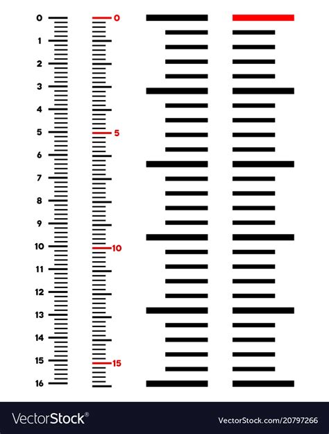 SaladWay: Life Story, Years Lived, Vertical Measurement