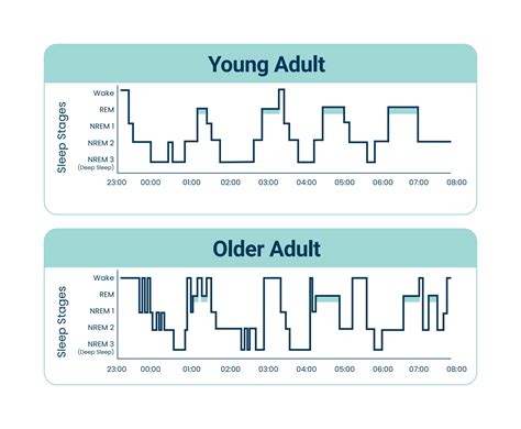 Scientific Investigation into the Sleep Patterns and Behavior of A Salamander
