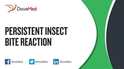 Seeking Assistance: When Should You Consult a Professional Regarding Persistent Insect-related Nightmare Manifestations?