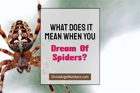 Seeking Professional Support: Psychologists' Insights on Dreams of Spider Assault