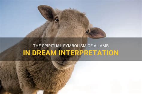 Sheep and Lambs as Spiritual Guidance in Dream Interpretation