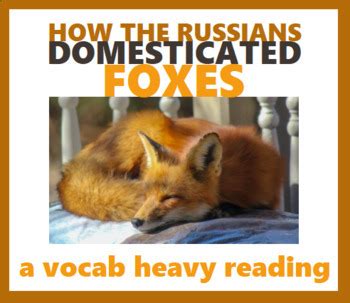 Siberian Fox Biography