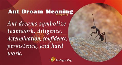 Significance of Ant Dreams: Symbolic Interpretations