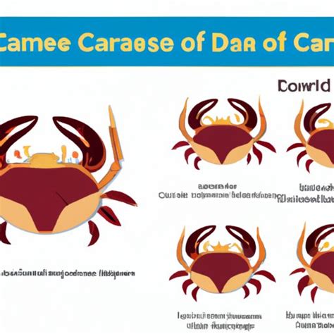 Signs and Symptoms of Crab Infestation: Understanding the Indicators