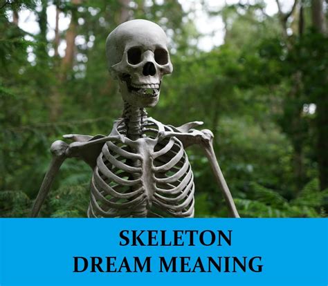 Skeletons in Dreams: A Deeper Exploration of Symbolism