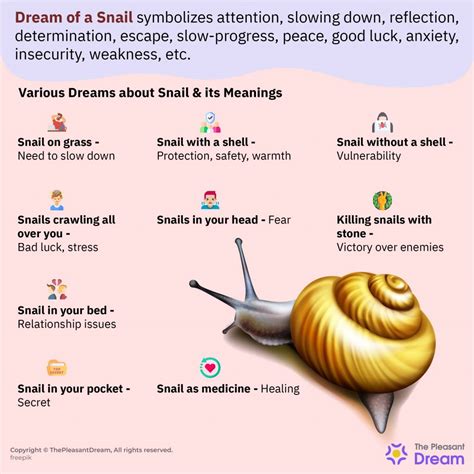 Snails in Dreams: Exploring the Symbolic Significance in Depth