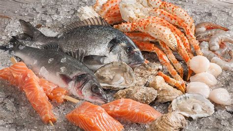 Sourcing, Selecting, and Storing Fresh Salmon: Establishing the Foundation for an Unmatched Seafood Delight