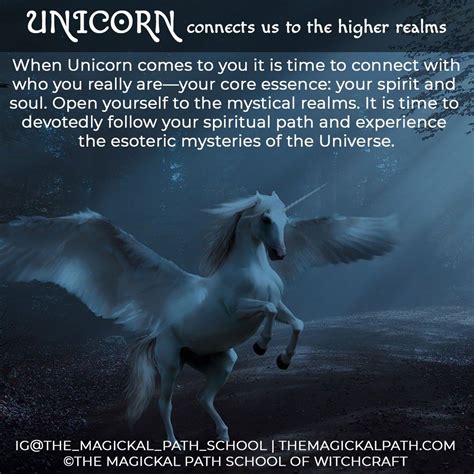 Spiritual Connections: Exploring the Unicorn's Role in Mythical and Magical Beliefs