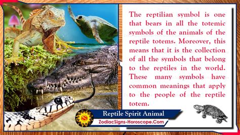 Spiritual Significance: Discovering the Deep Meaning of the Injured Reptile in Relation to Personal Growth