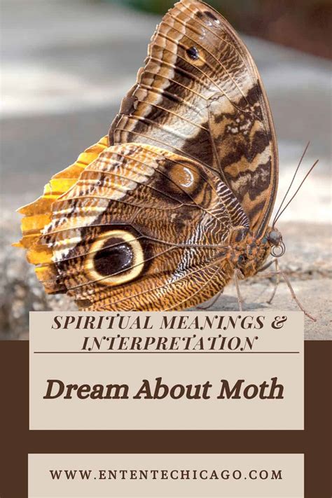 Spiritual and Metaphysical Significance of Moths with Earthy Hue in Dream Interpretation