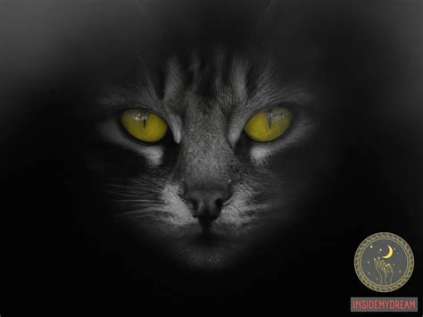 Spiritual and Mystical Interpretations: The Hidden Essence of Feline Symbolism