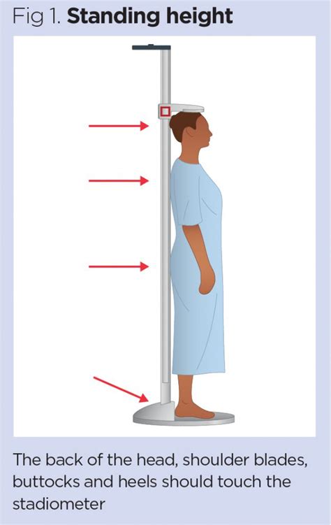 Standing Tall: The Vertical Measurement of Paola Diaz