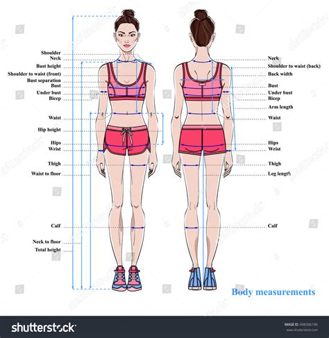 Statistics of the Model's Vertical Measurement