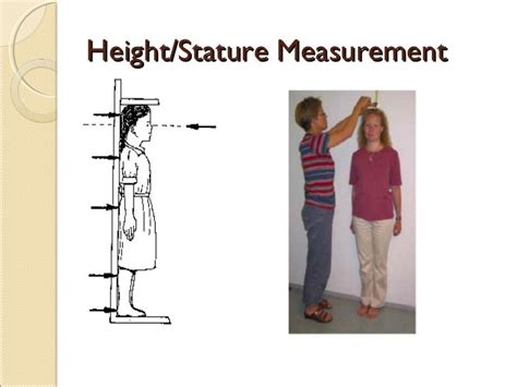 Stature: Explore Angie's Height