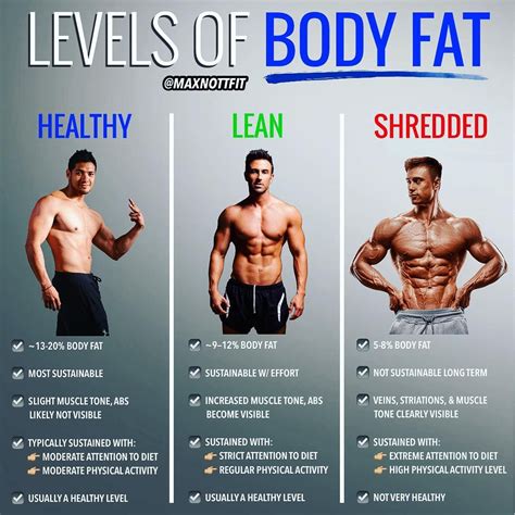 Strategies for Maintaining a Toned Physique