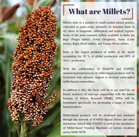 Sustainable Farming: Finger Millet's Eco-Friendly Potential