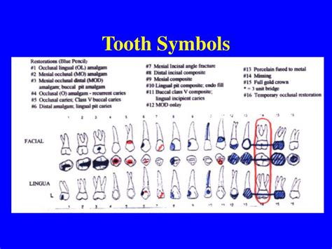 Symbolic Meanings: The Symbolism of Dental Deterioration as a Manifestation of Anxiety and Stress