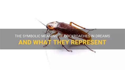 Symbolic Significance: What Cockroaches Represent in Dream Symbolism