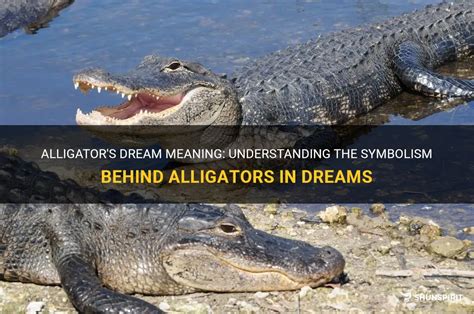 Symbolism of Alligators and Dogs in Dreams: A Comprehensive Analysis