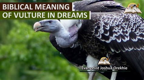 Symbolism of Vultures in Dreams