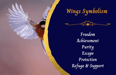 Symbolism of Wings across Cultures