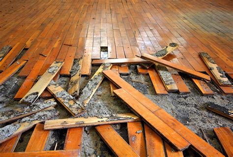 Symbolizing Lost Stability: Exploring the Significance of Shattered Hardwood Floors