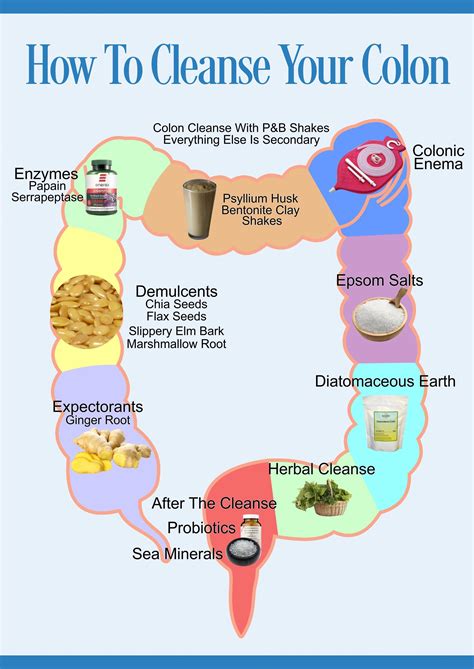 Taking Care of Your Diet: Foods that Support Healthy Bowel Movements