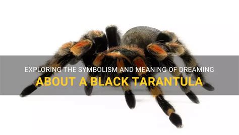 Tarantulas as Symbols of Power: Exploring the Significance of Pursuing a Tarantula in a Dream