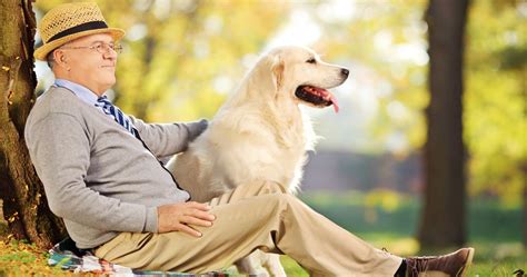 The Advantages of Dog Ownership for Your Well-being