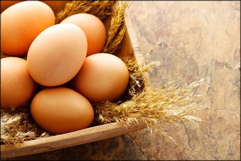 The Advantages of Fresh Eggs: Why They're Valuable