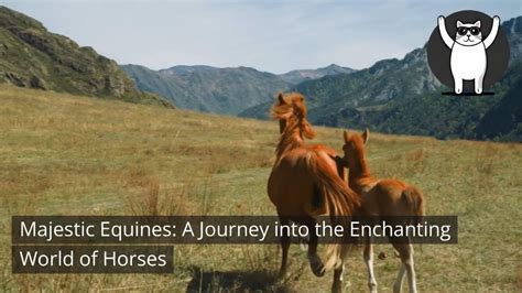 The Advantages of Lucid Dreaming: Embarking on a Mindful Journey with Majestic Equines