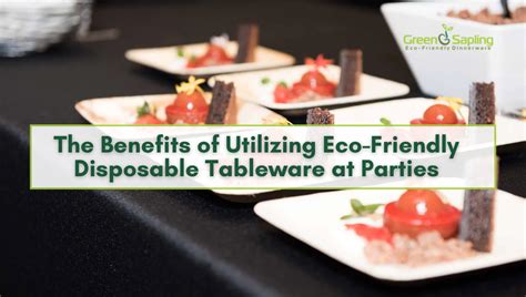 The Advantages of Utilizing Eco-Friendly Tableware