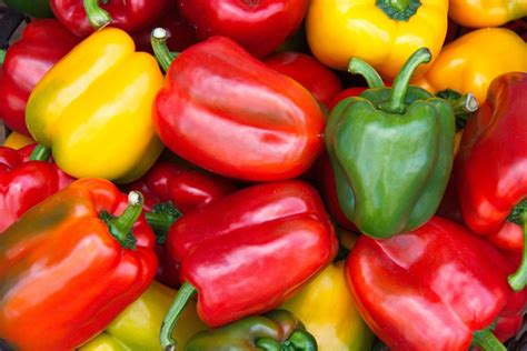 The Array of Colors Exhibited by Capsicum Peppers