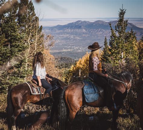 The Art of Horseback Riding: Exploring the Enchantment of Equestrianism