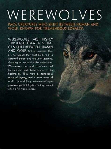 The Ascendance of the Werewolf Legend: Reality or Fiction?