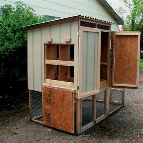 The Basics of Chicken Coop Design and Maintenance