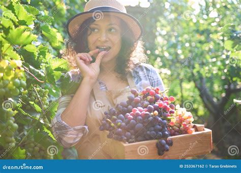 The Beauty of Grape Harvesting: A Delightful Experience