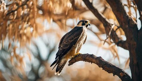 The Blue Falcon's Predatory Behavior: Revealing its Hunting Techniques and Diet