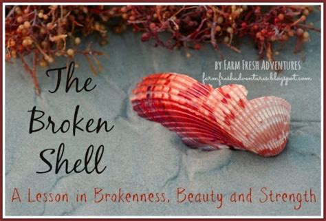 The Broken Shell: A Symbol of Vulnerability