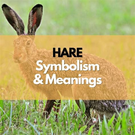 The Brown Hare in Symbolic Art: A Journey Through History